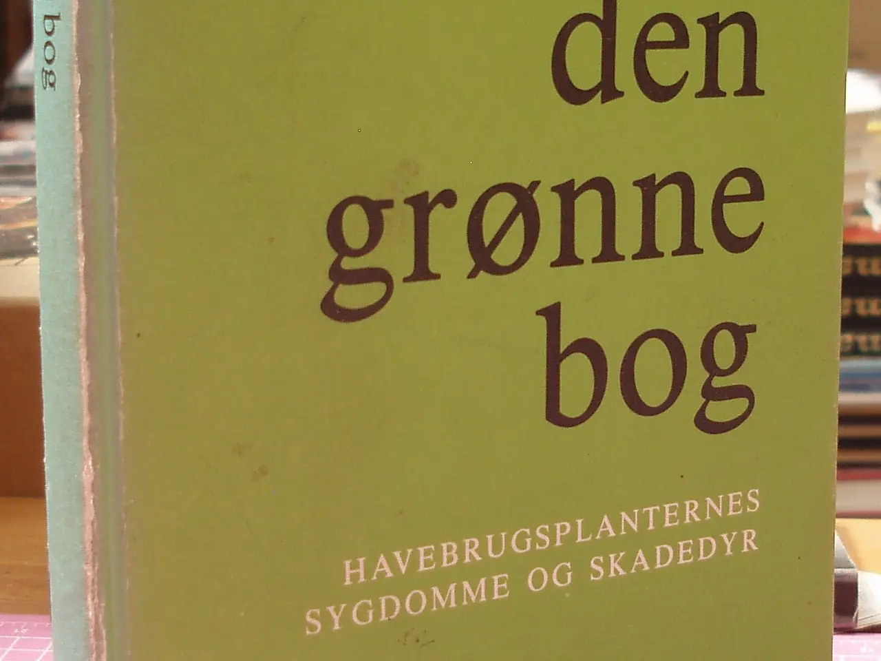 Billede 1 - Den grønne bog