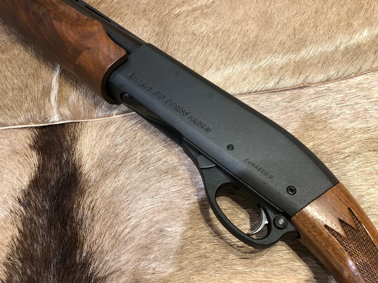 Billede 4 - Remington Pumpgun
