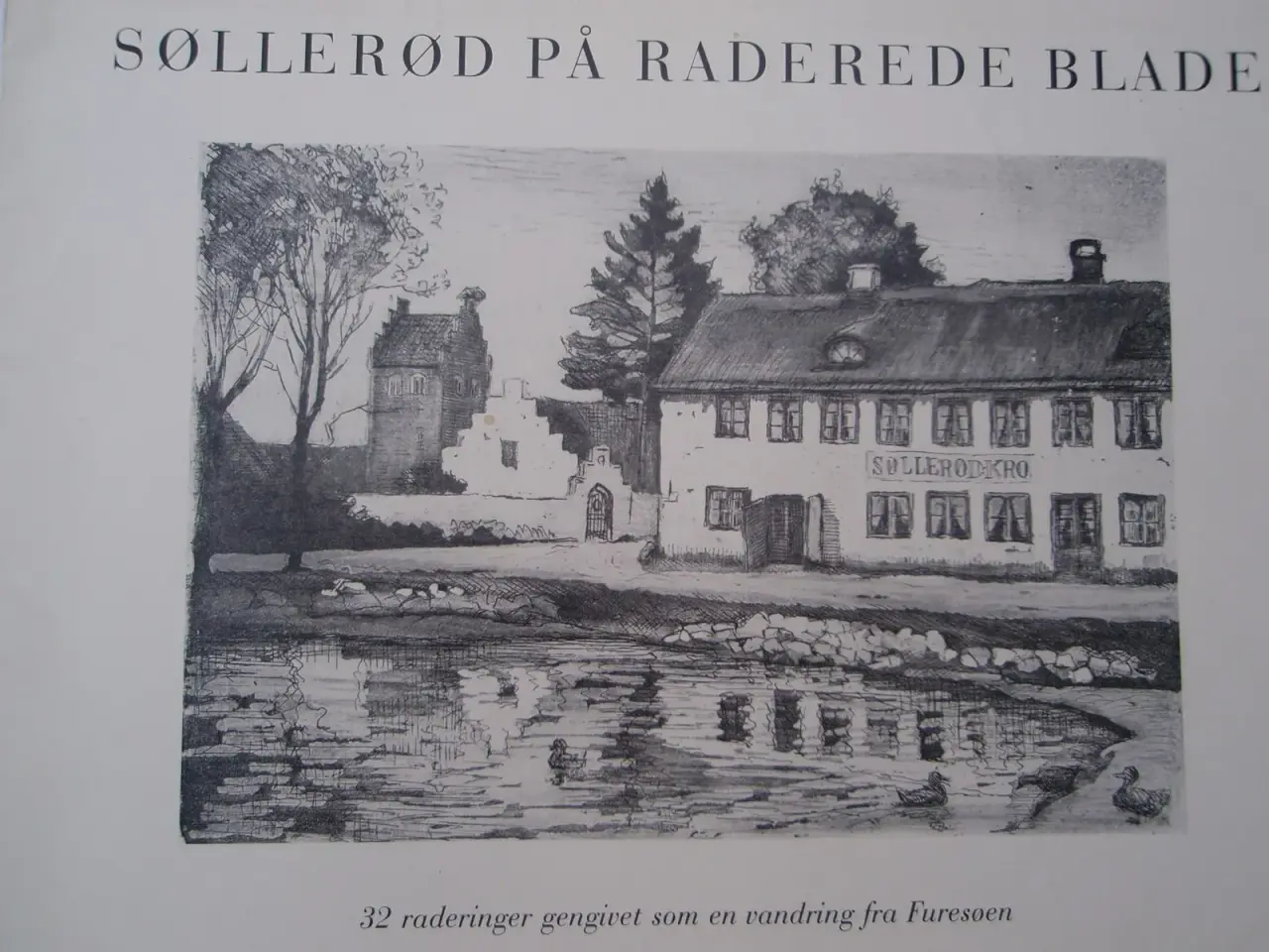 Billede 2 - søllerød