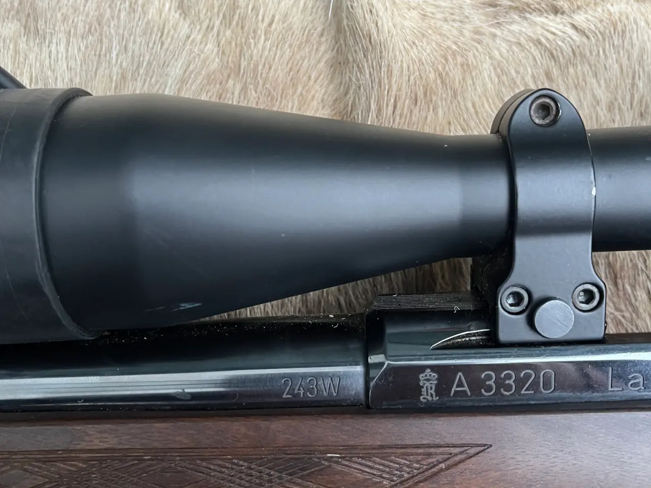 Billede 5 - Lakelander mod 389 243W