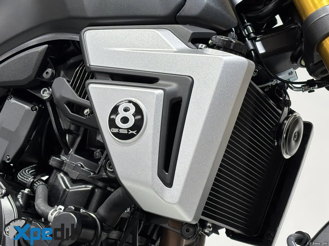 Billede 18 - Suzuki GSX-8T
