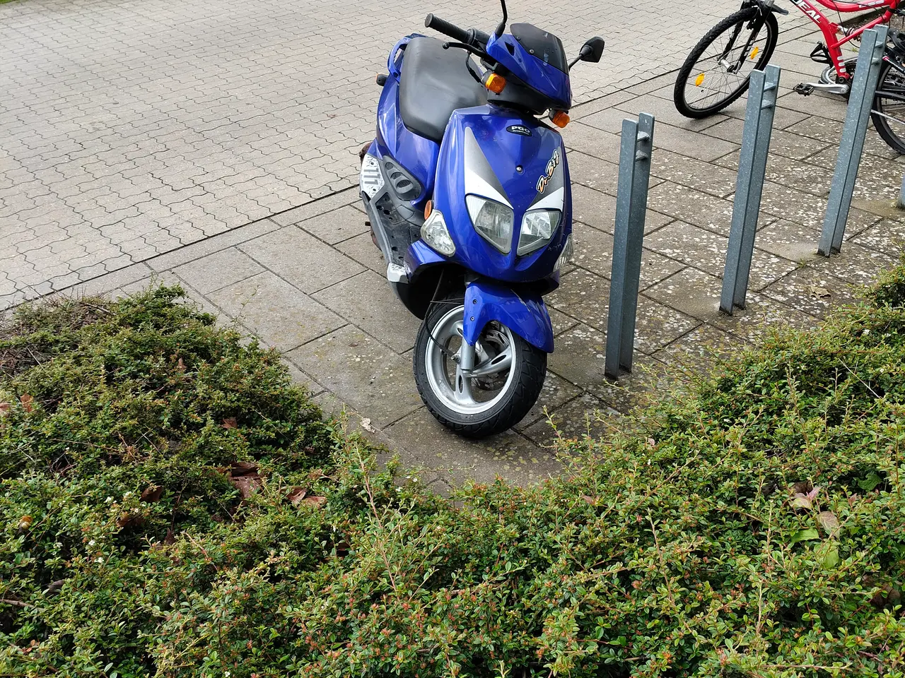 Billede 3 - Pgo dr big