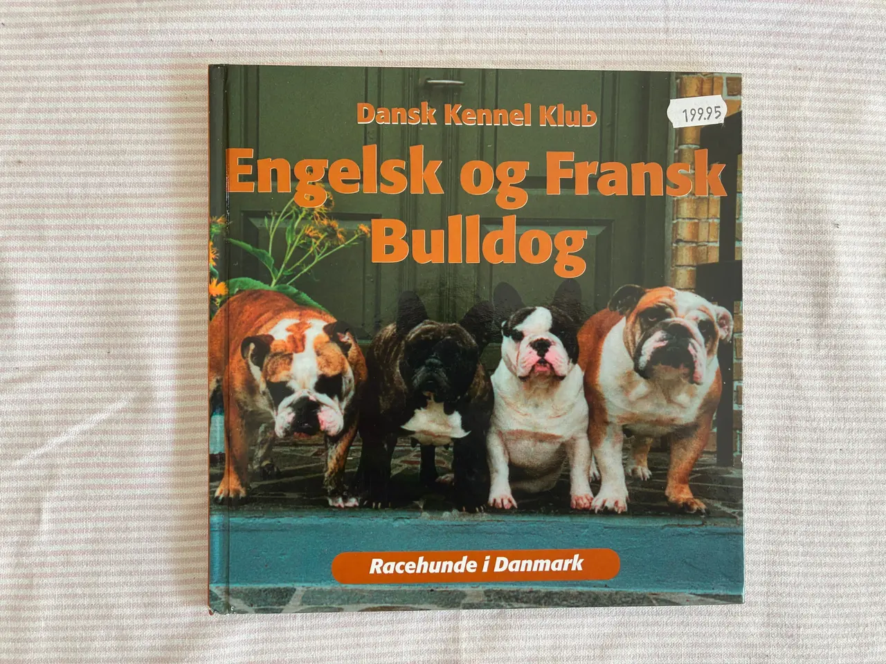 Billede 1 - Engelsk og Fransk Bulldog  -  Racehunde i Danmark