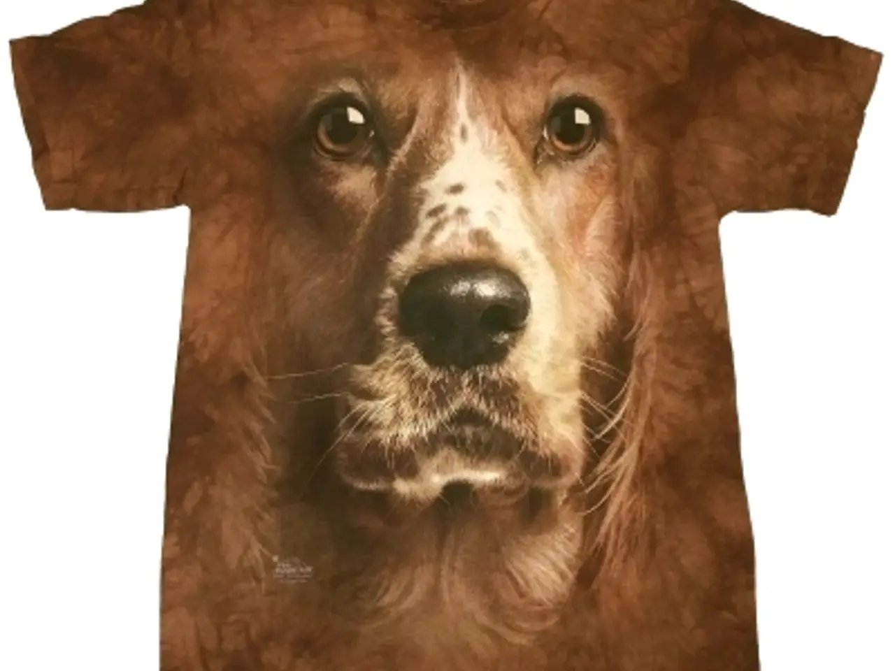 Billede 6 - The Mountain hunde T-shirts i flere str.