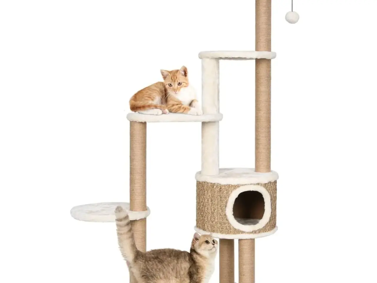 Billede 1 - Kradsetræ med luksushynde og kradsestolpe 148 cm - søgræs, beige