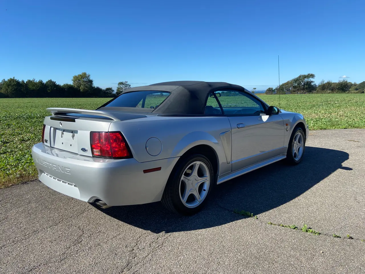 Billede 3 - Ford Mustang GT Cabriolet 4.6 V8
