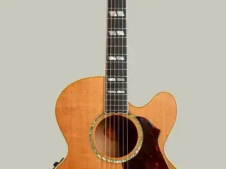 Gibson EC-30 Blues King Electro 1998