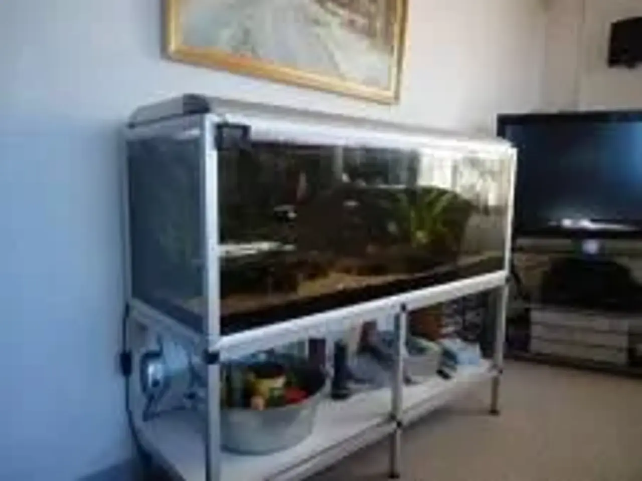Billede 2 - Akvastabil 900 ltr.