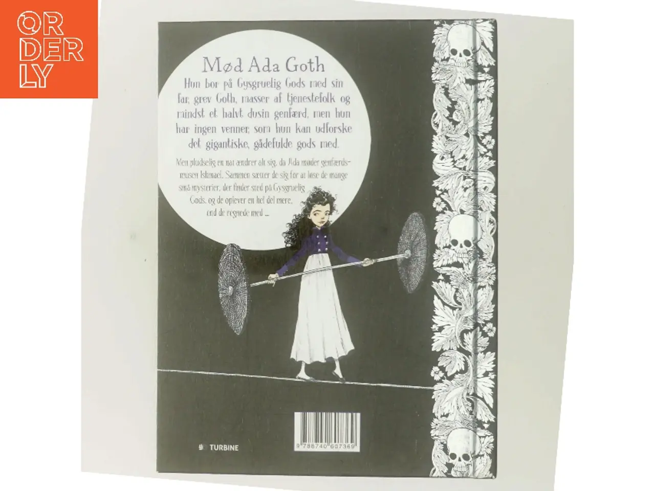 Billede 3 - Ada Goth og musens genfærd af Chris Riddell (Bog)