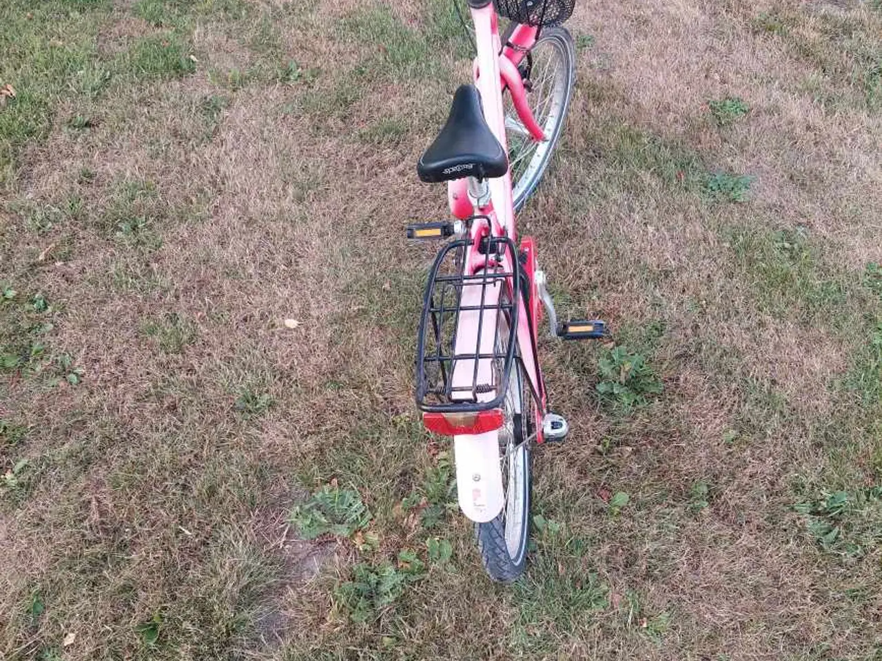 Billede 4 - Everton - Nostalgic pigecykel