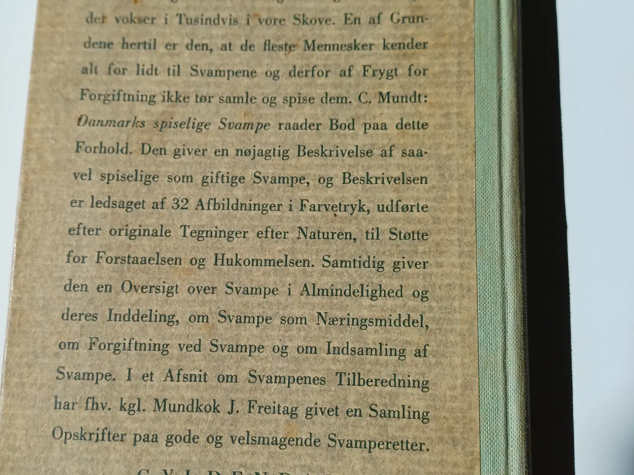 Billede 7 - Danmarks spiselige Svampe af C. Mundt