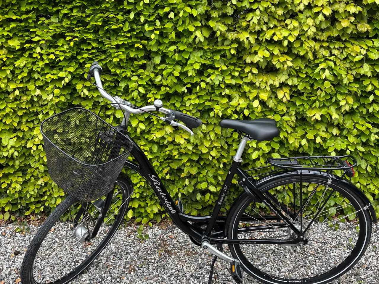 Billede 1 - Flot og velholdt Raleigh dameshopper