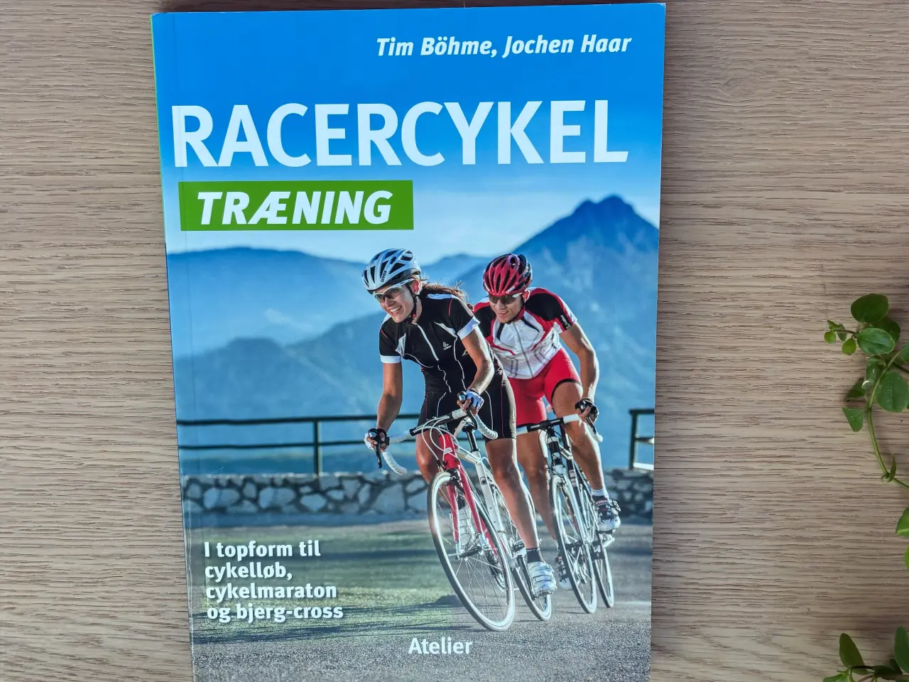 Billede 1 - RACERCYKEL TRÆNING af Tim Böhme, Jochen Haar
