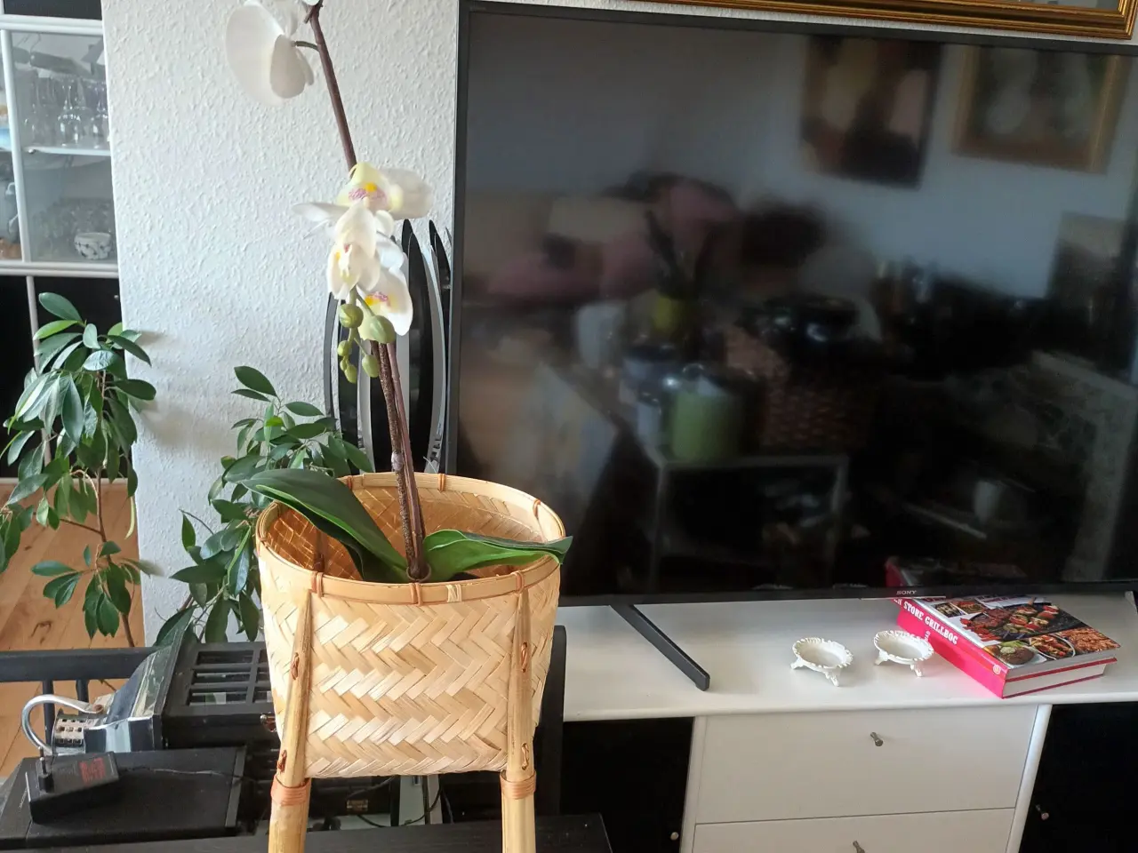 Billede 2 - FLOT Bambus Blomster Skjuler