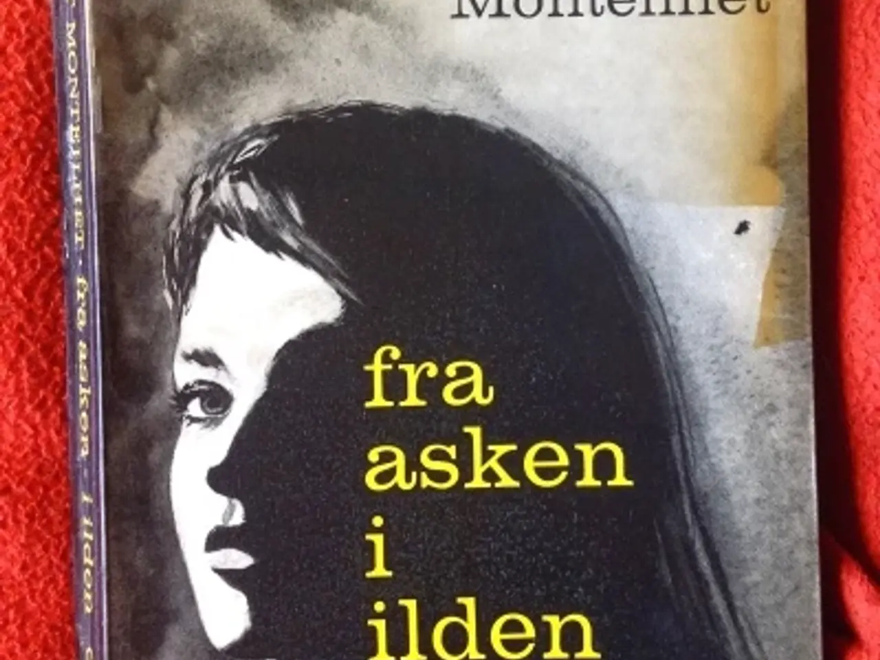 Billede 1 - Hubert Monteilhet: Fra asken i ilden