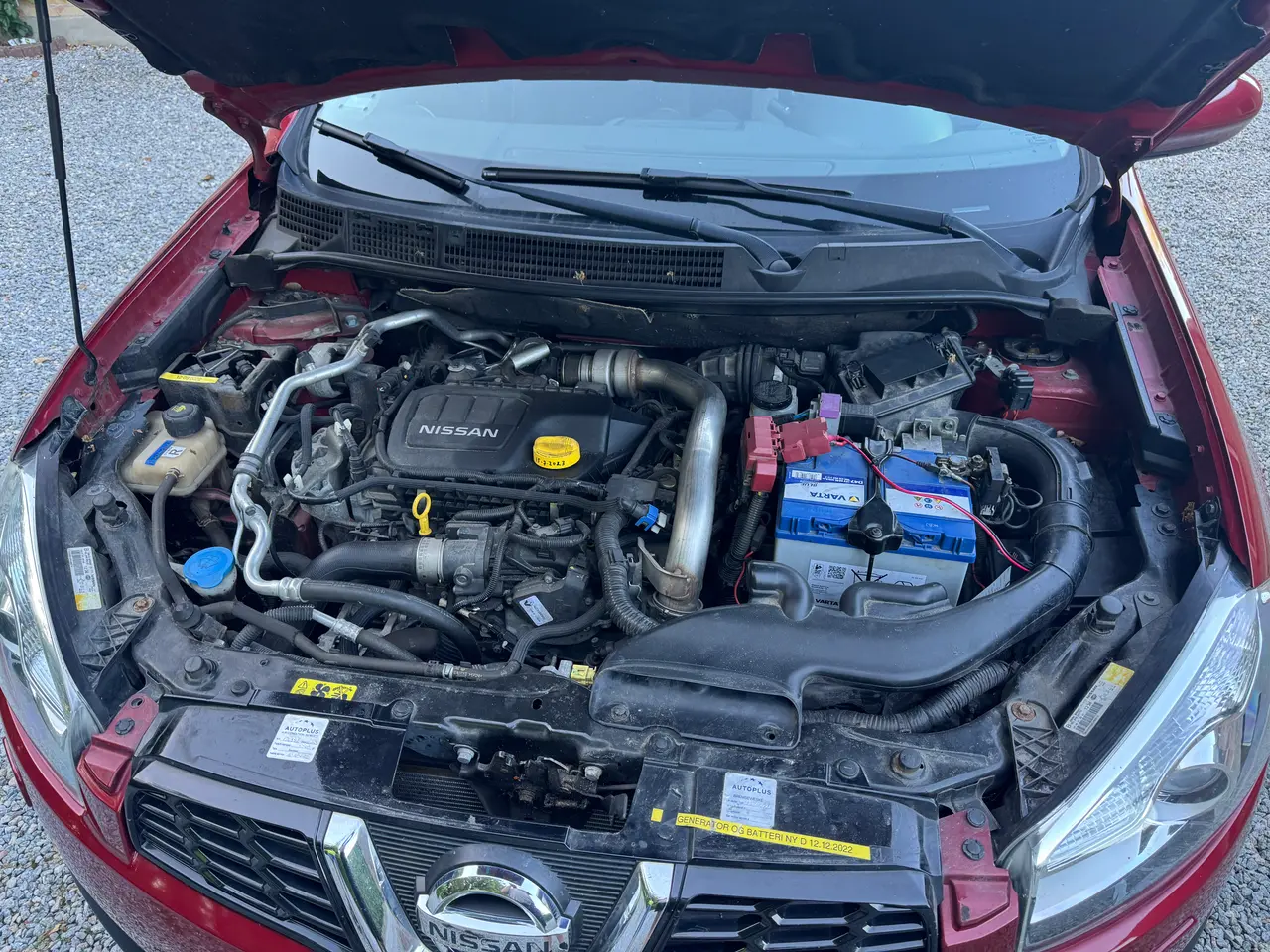 Billede 11 - Nissan Qashqai 1.6 Diesel med papegøjeplader