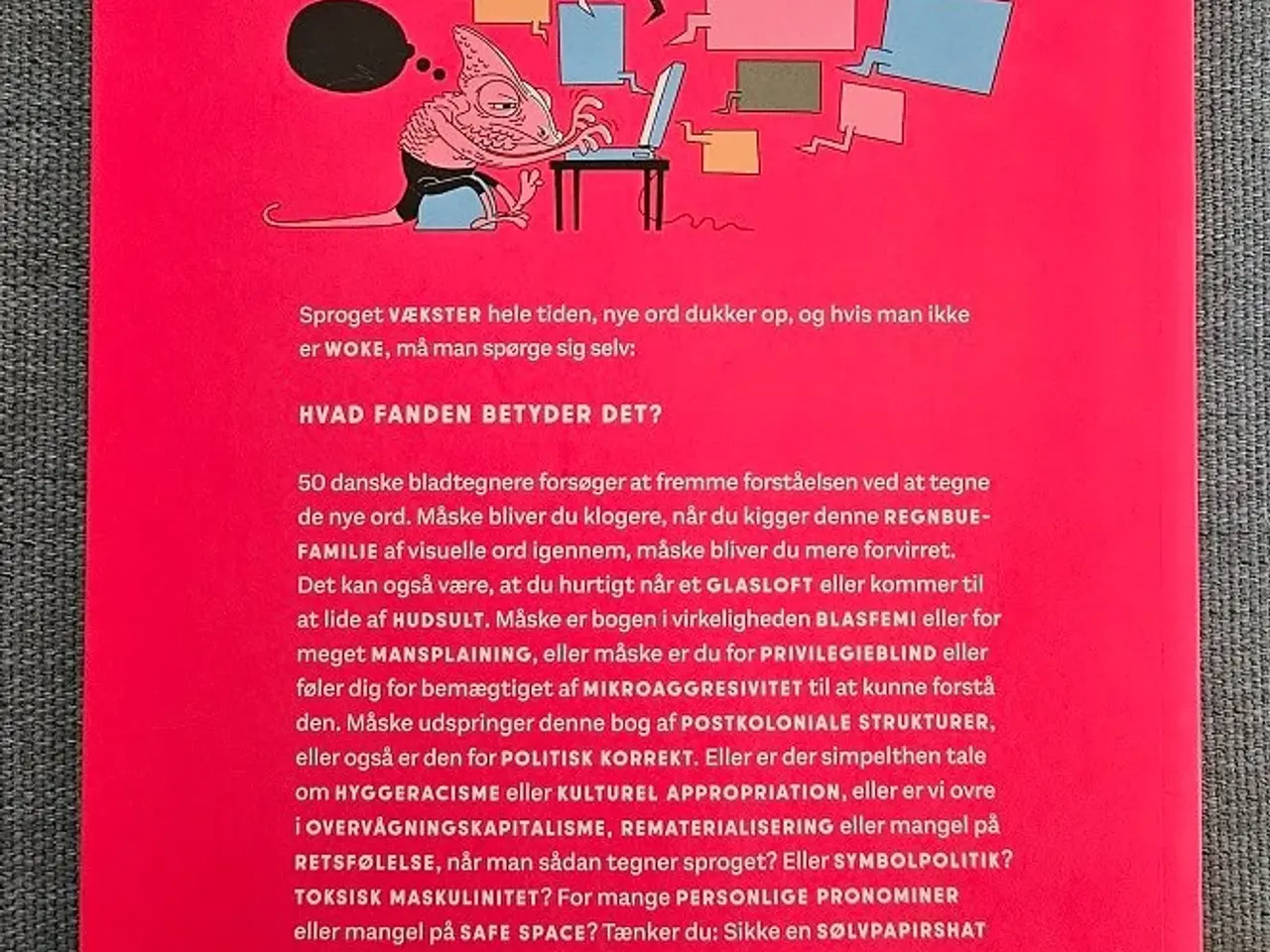 Billede 2 - bogen Hvad fanden betyder det