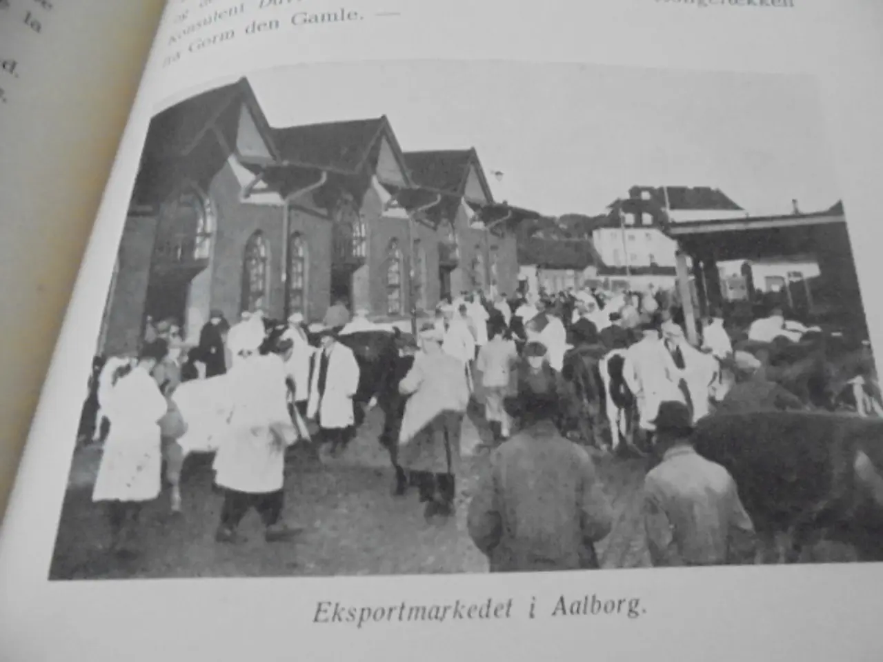 Billede 2 - Hvor dejene samles – se fotos og omtale