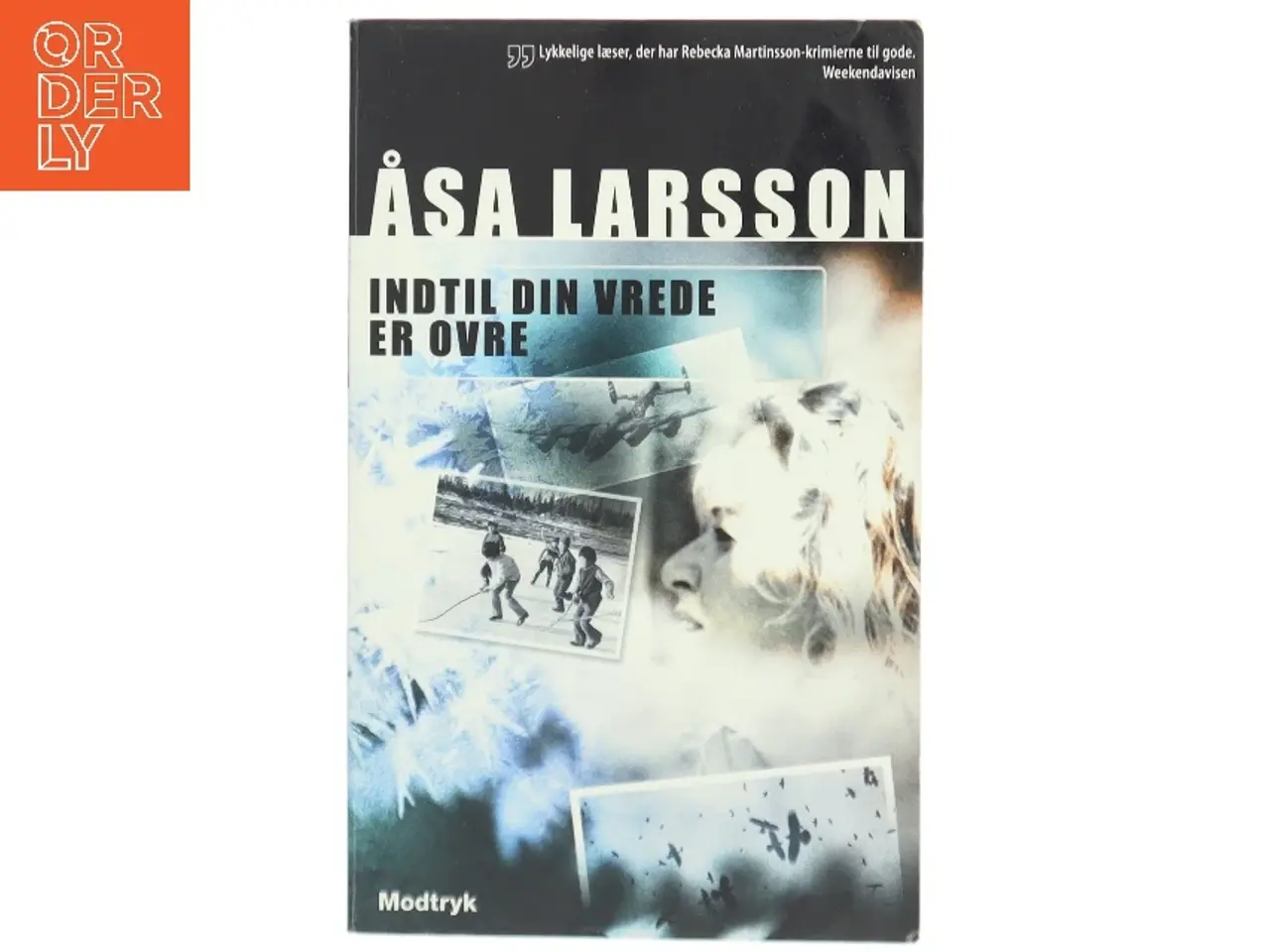 Billede 1 - Indtil din vrede er ovre af Åsa Larsson (Bog)