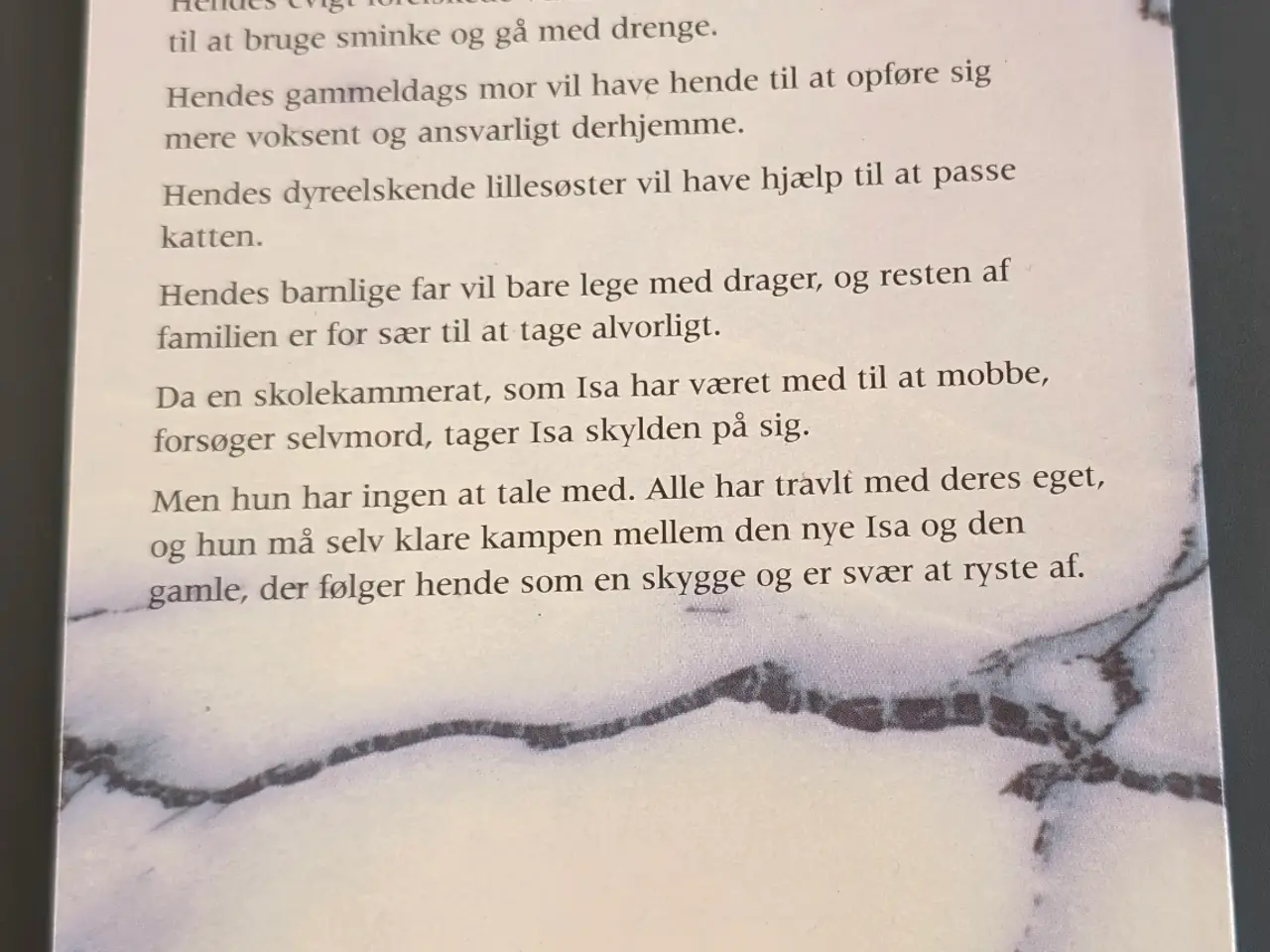 Billede 3 - Ilse M. Haugaard Isas skygge