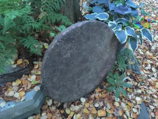 Brønddæksel