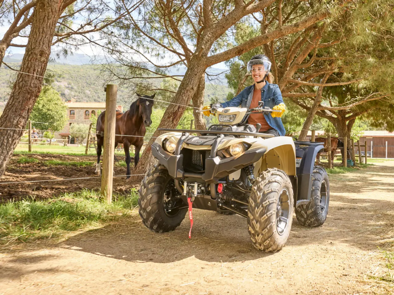 Billede 8 - Yamaha Kodiak 450 EPS SE
