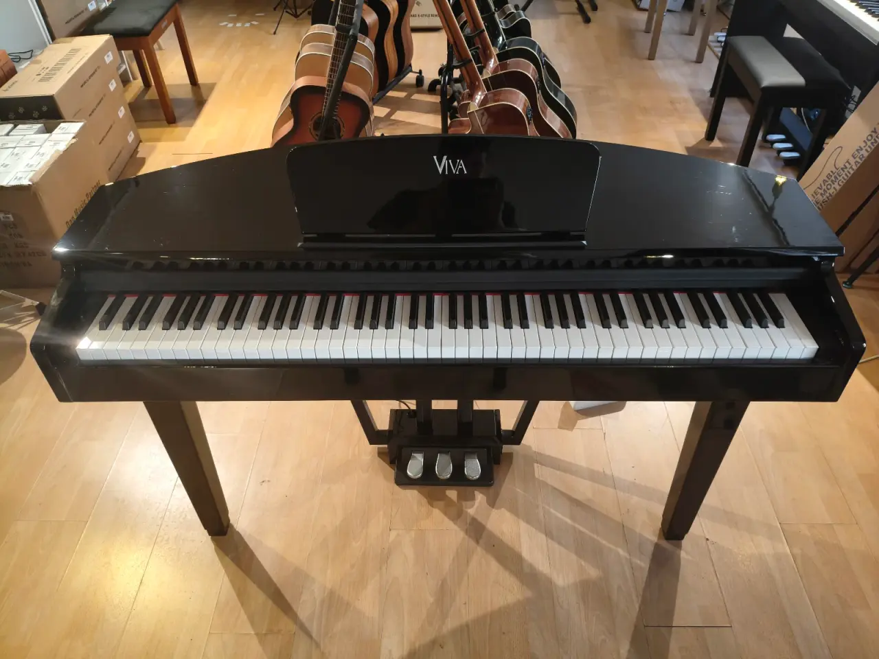 Billede 1 - Viva grand flygel