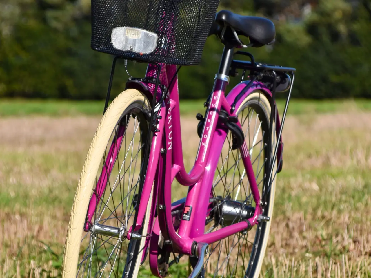 Billede 7 - Everton Nostalgic 7G 47CM
