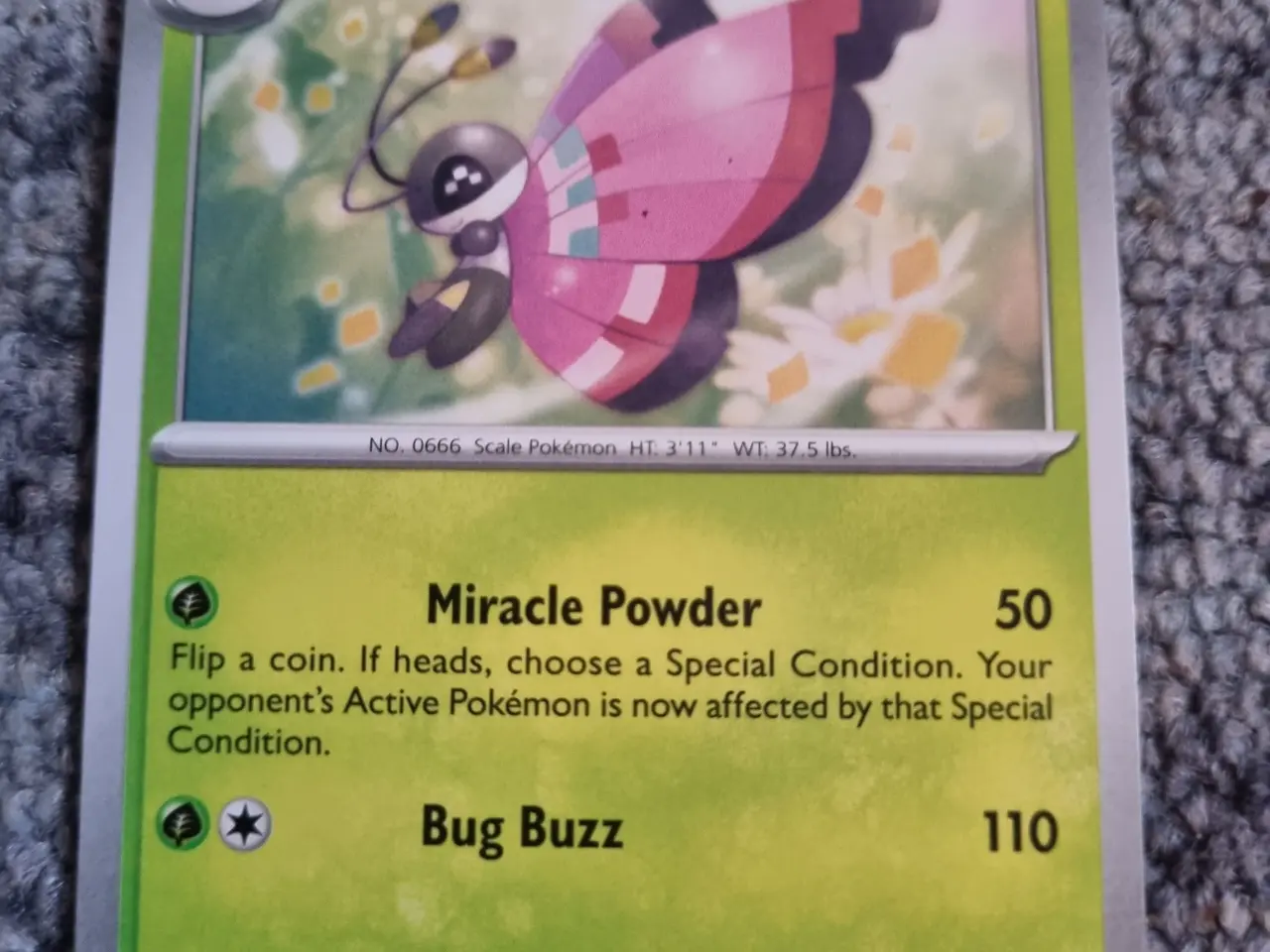 Billede 9 - Annonce 618 - Pokemon