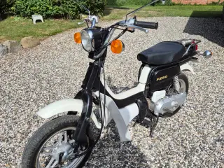 Suzuki fz50