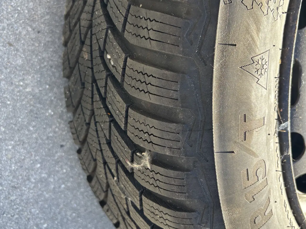 Billede 2 - Stålfælge med Continental vinterdæk 