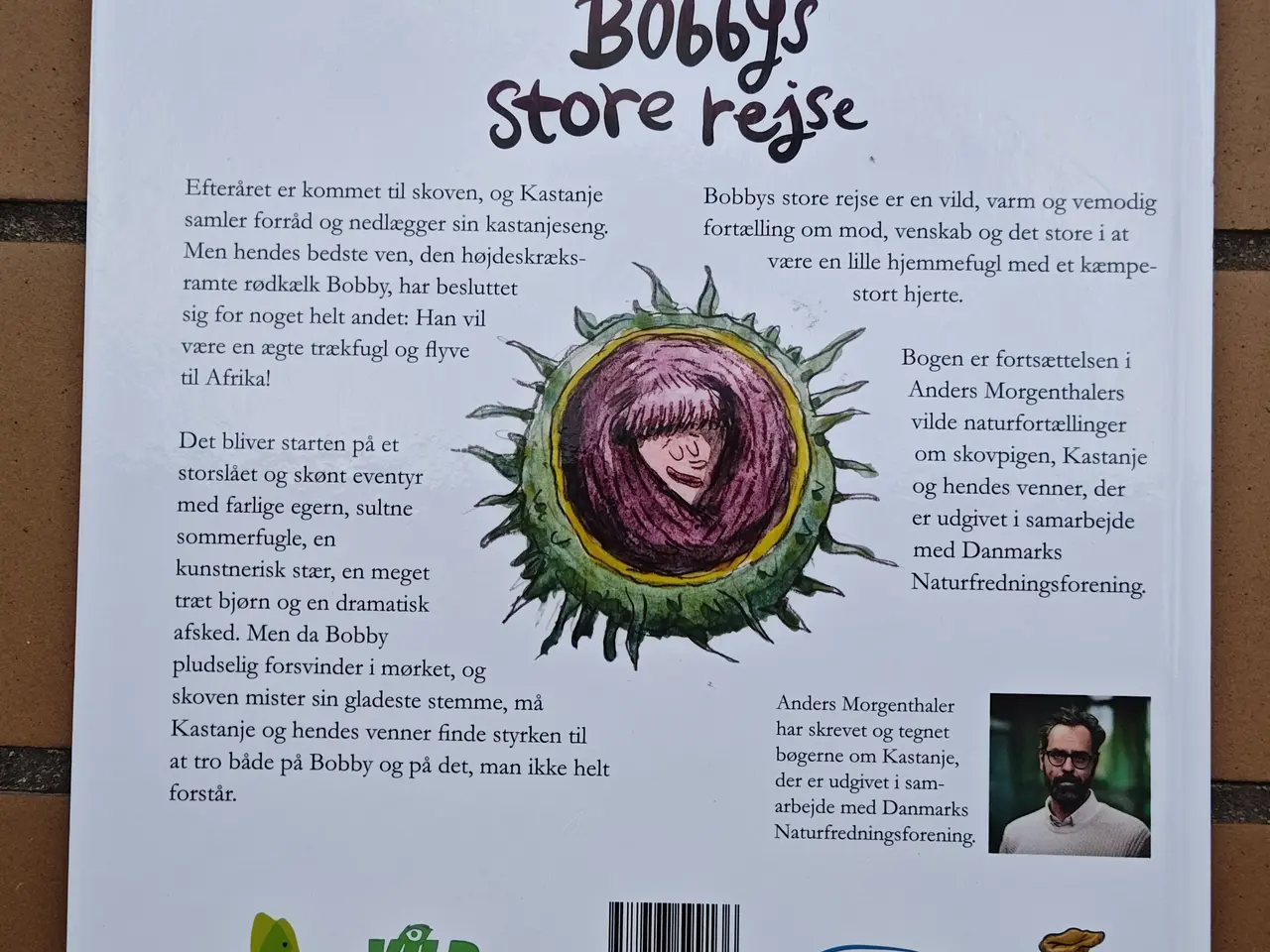 Billede 2 - Wulff Morgenthaler Bobbys store rejse BOG