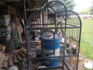 bur