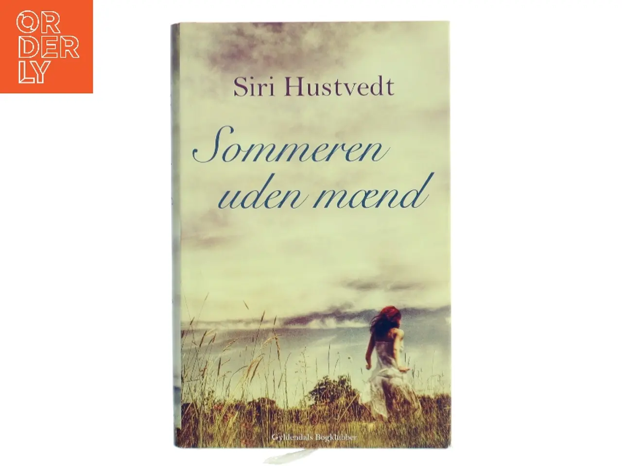 Billede 1 - Sommeren uden mænd : roman af Siri Hustvedt (Bog)