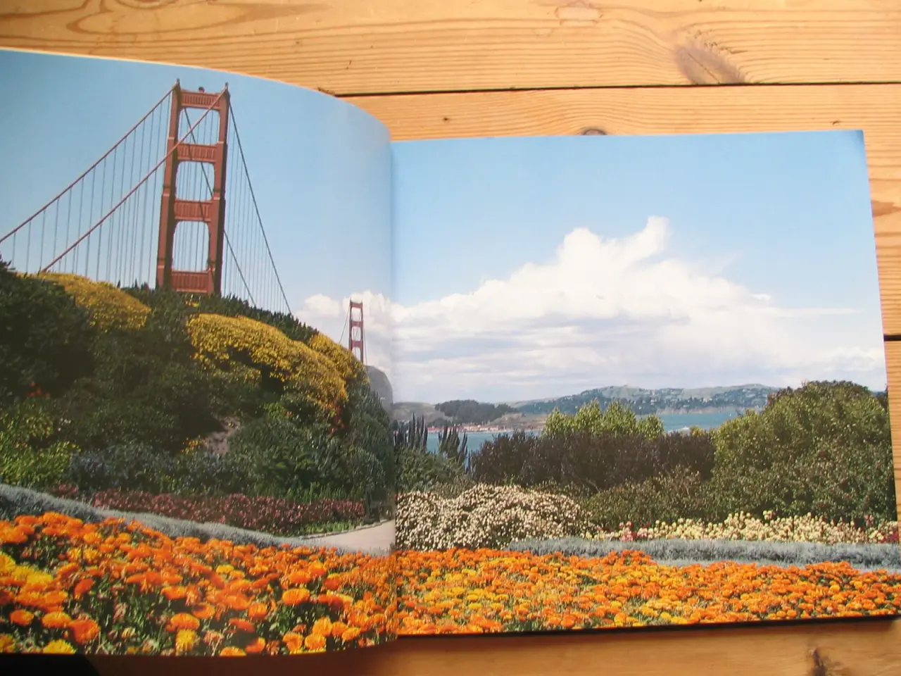 Billede 2 - San Francisco - The City's Sights and Secrets