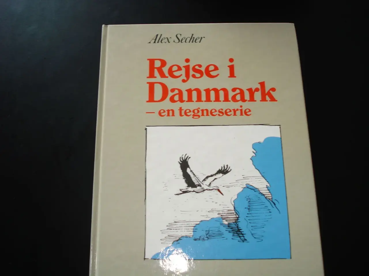 Billede 1 - Rejse i Danmark - en tegneserie