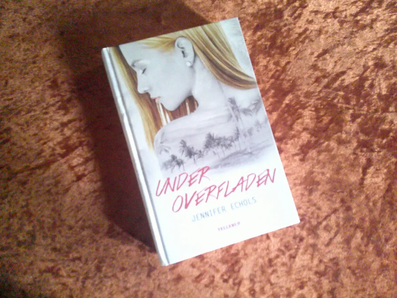 Billede 2 - Under overfladen, Jennifer Echols