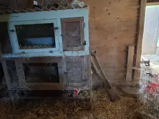 Ude Kanin/ marsvin bure etage/ enkelt