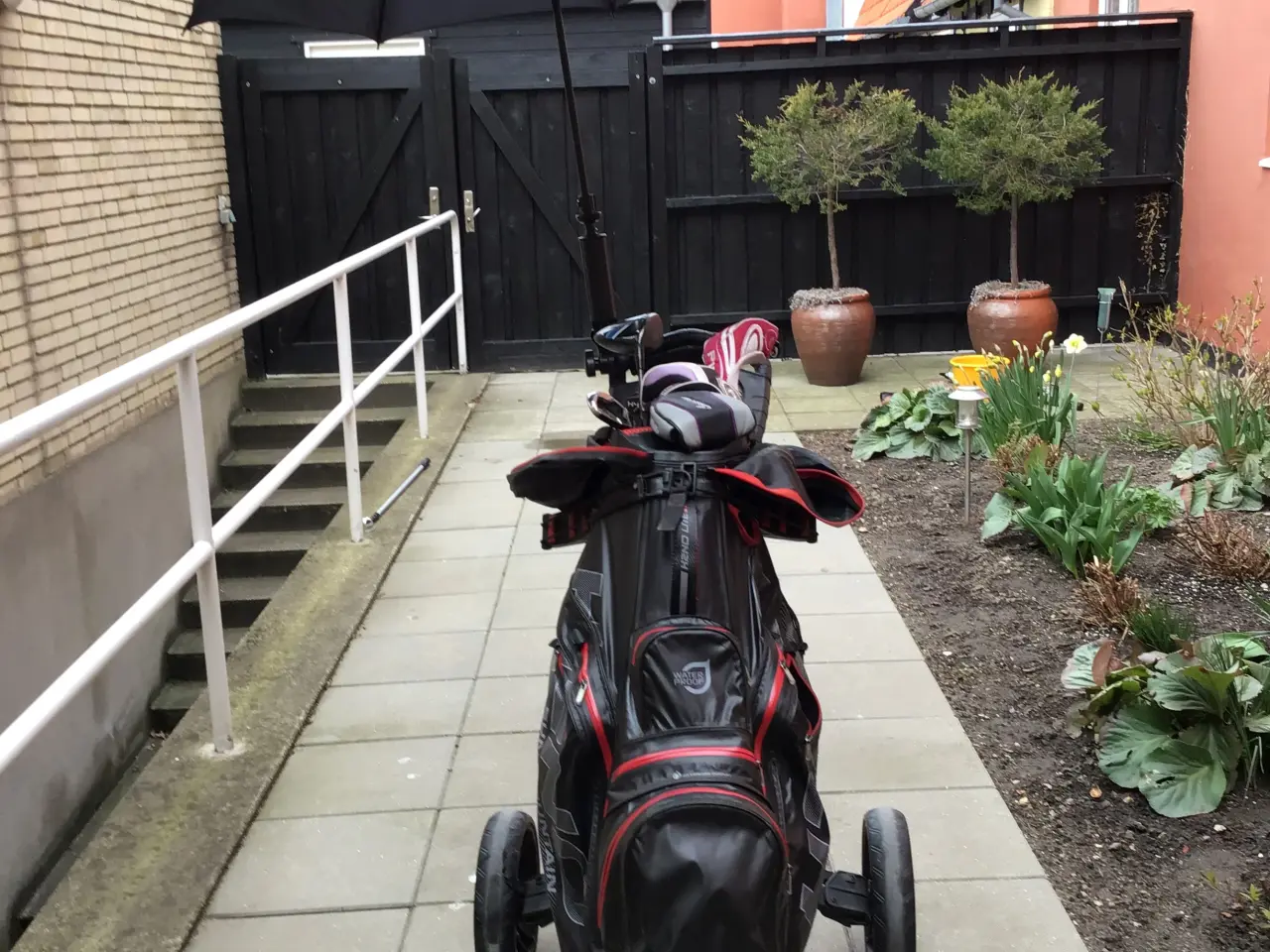 Billede 1 - Damegolfsæt med bag og golfvogn