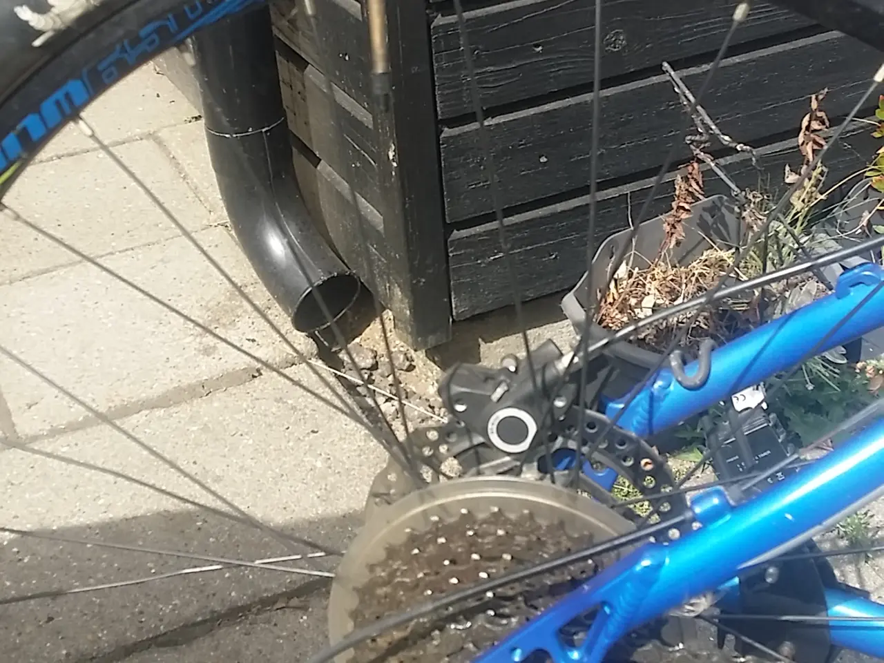 Billede 6 - Raam, 27 gear, skivebremser, til voksen