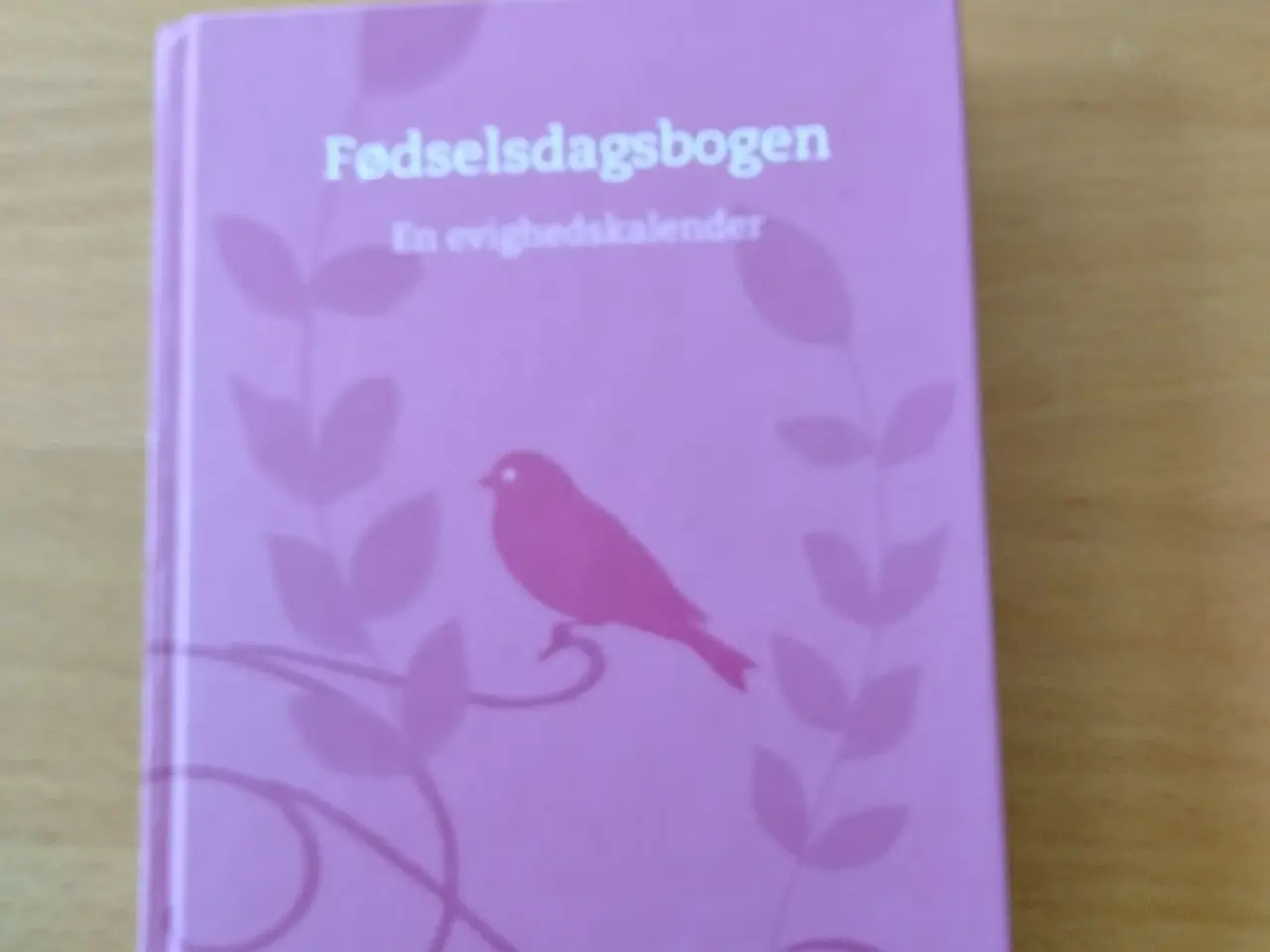 Billede 1 - Fødselsdagsbogen