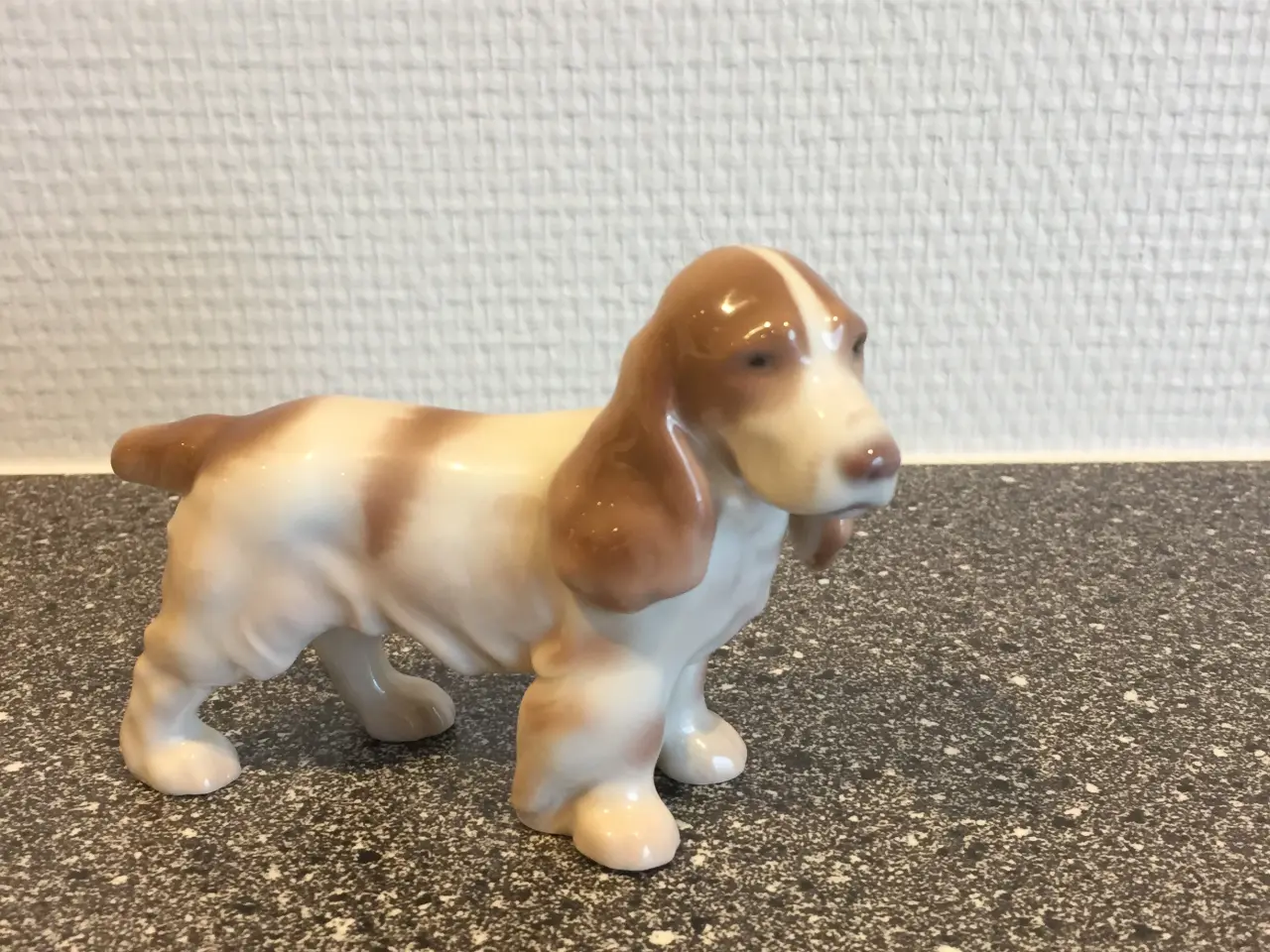 Billede 1 - B&G cocker spaniel hund