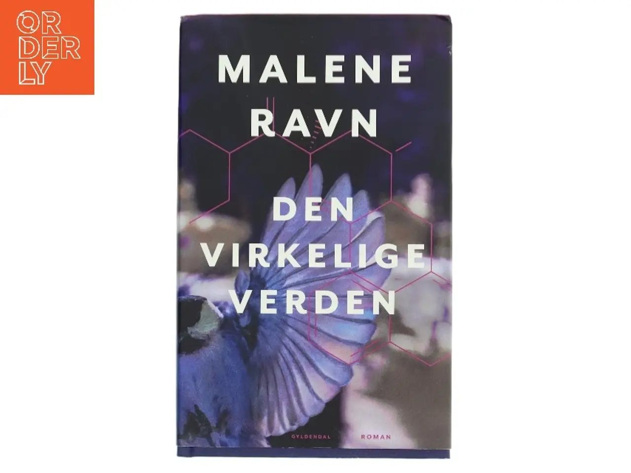 Billede 1 - Den virkelige verden af Malene Ravn (Bog)
