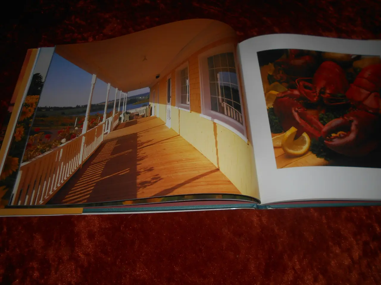 Billede 5 - Prince Edward Island, True Colours, Wayne Barrett