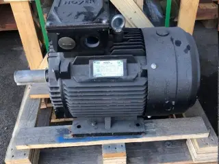 - - - Hoyer 15kW elmotor (fabriksny)