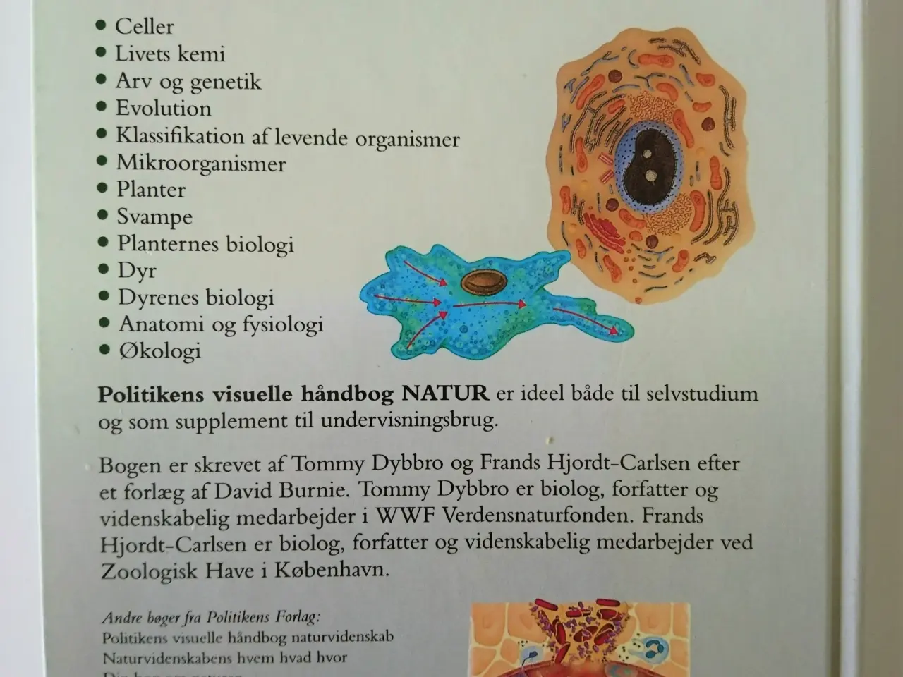 Billede 2 - Natur - Politikens visuelle håndbog