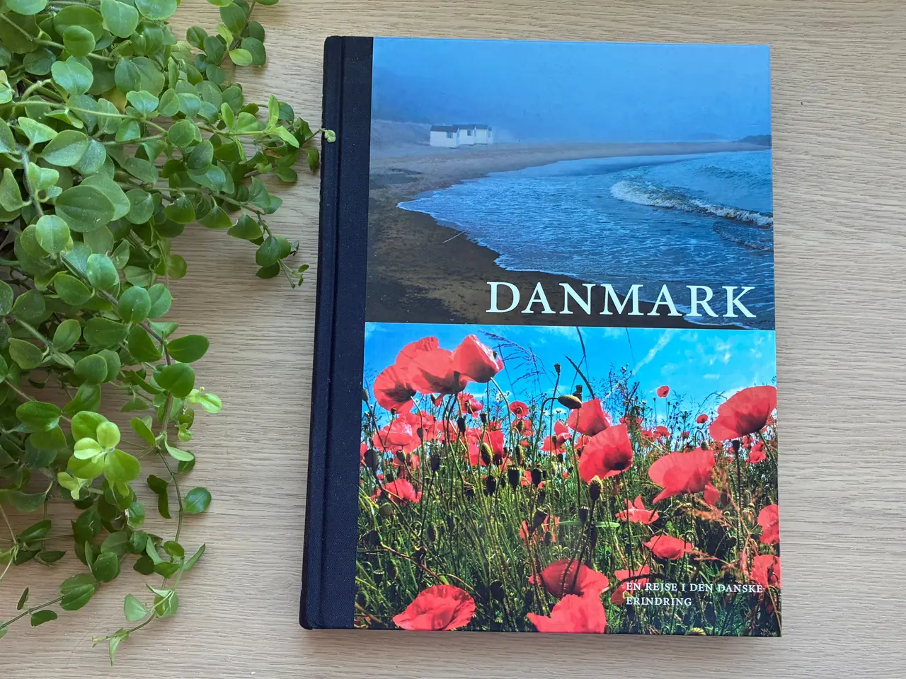 Billede 1 - DANMARK - En rejse i den danske erindring