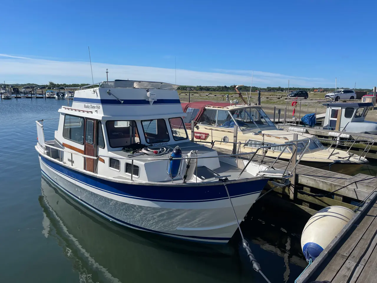 Billede 1 - Husky Dane 850