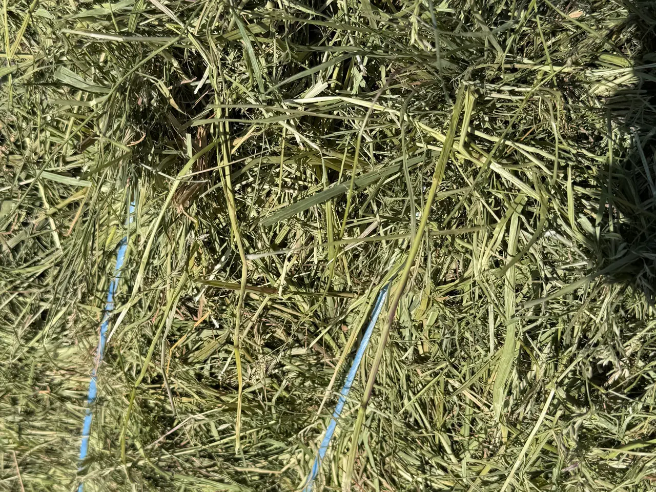 Billede 2 - Wrap hø