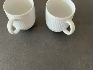 Eva trio krus